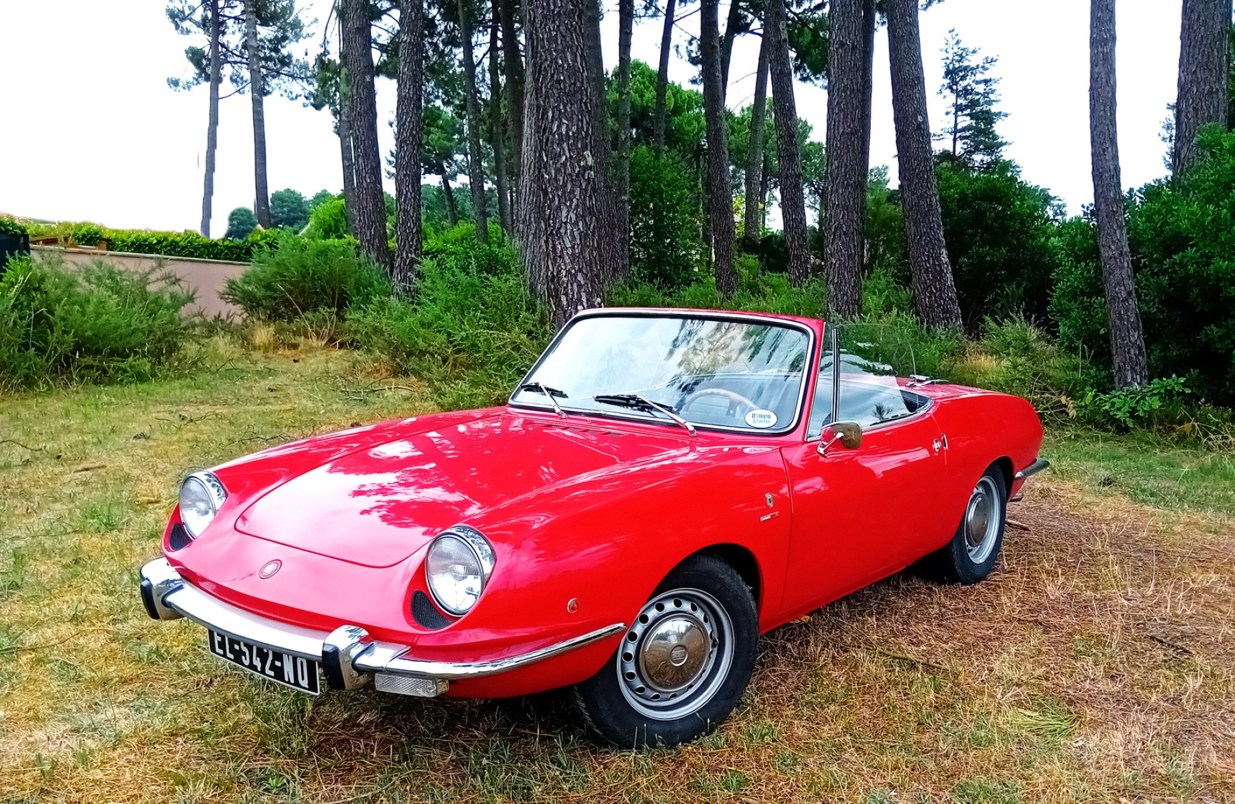 Illustration - Fiat 850 Spider