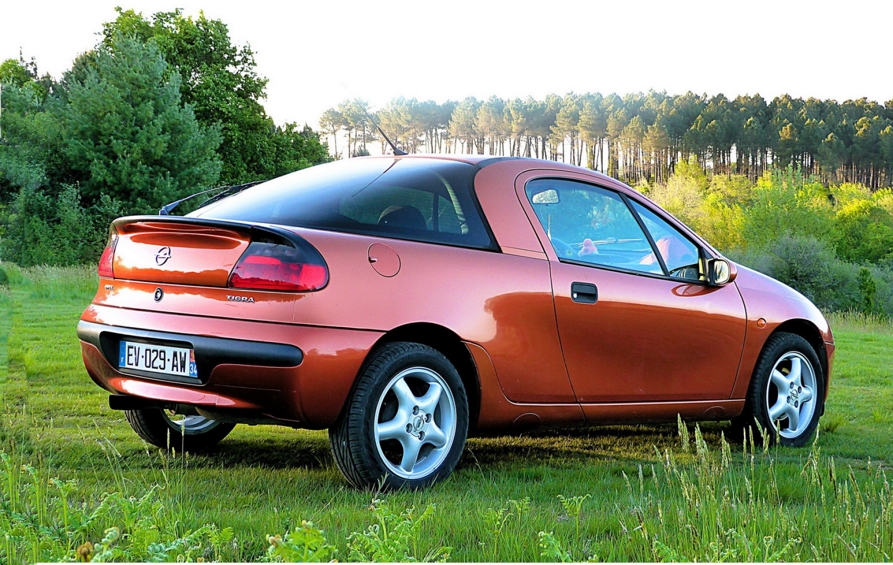 Illustration - Opel Tigra