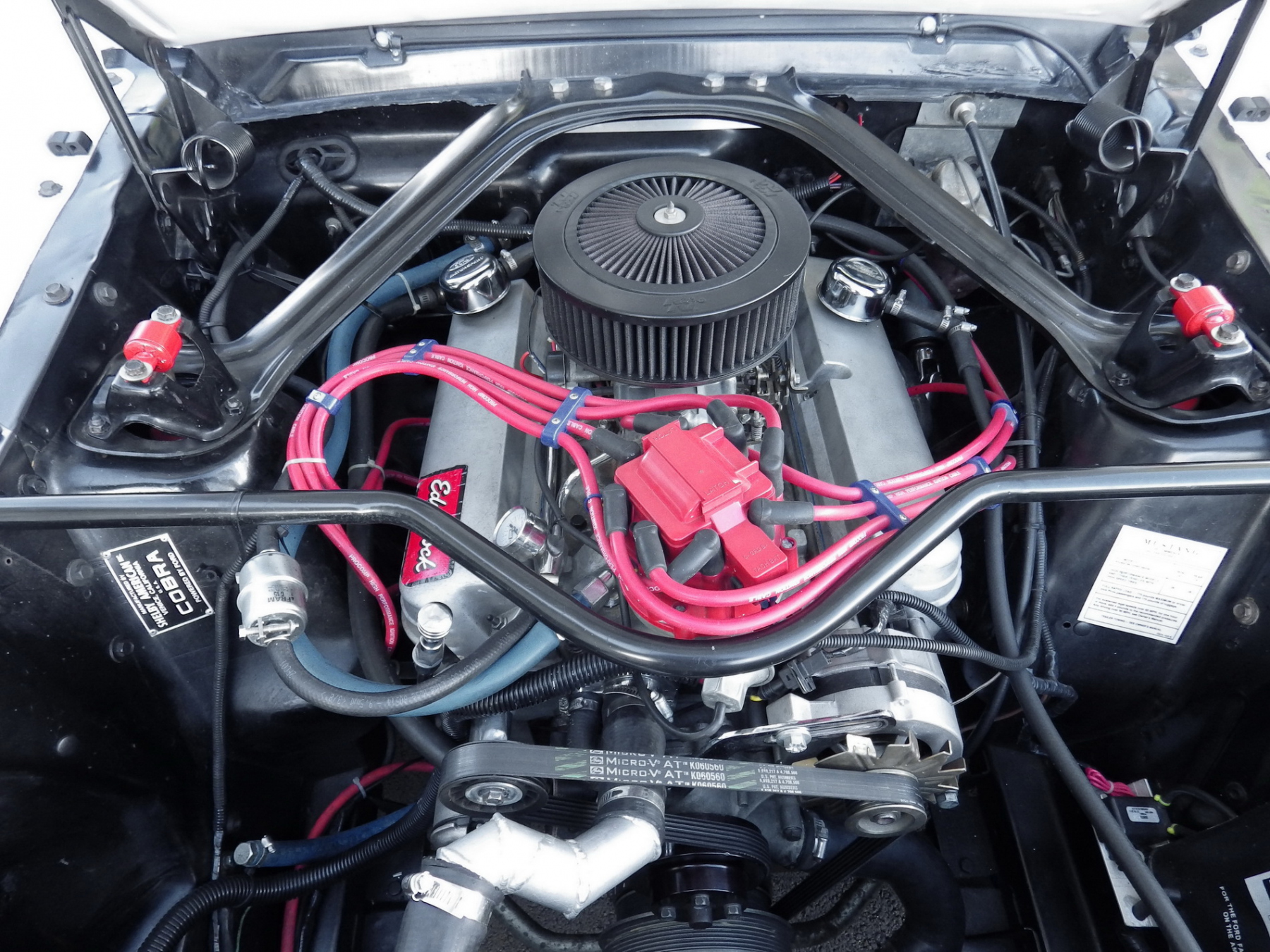 Illustration - Shelby GT350