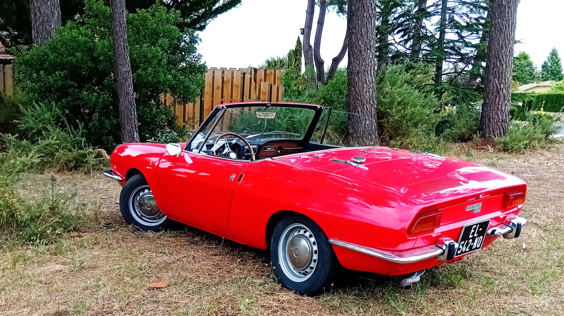 Illustration - Fiat 850 Spider