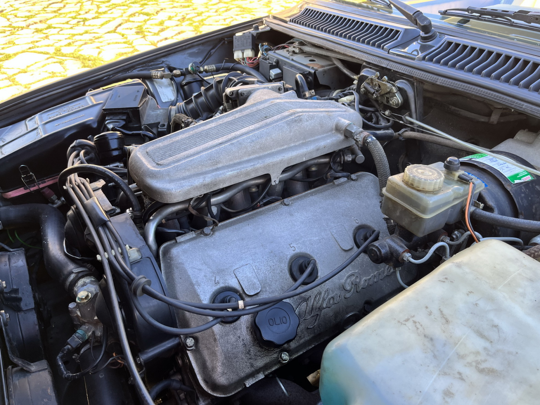 Illustration - Alfa Romeo GTV6