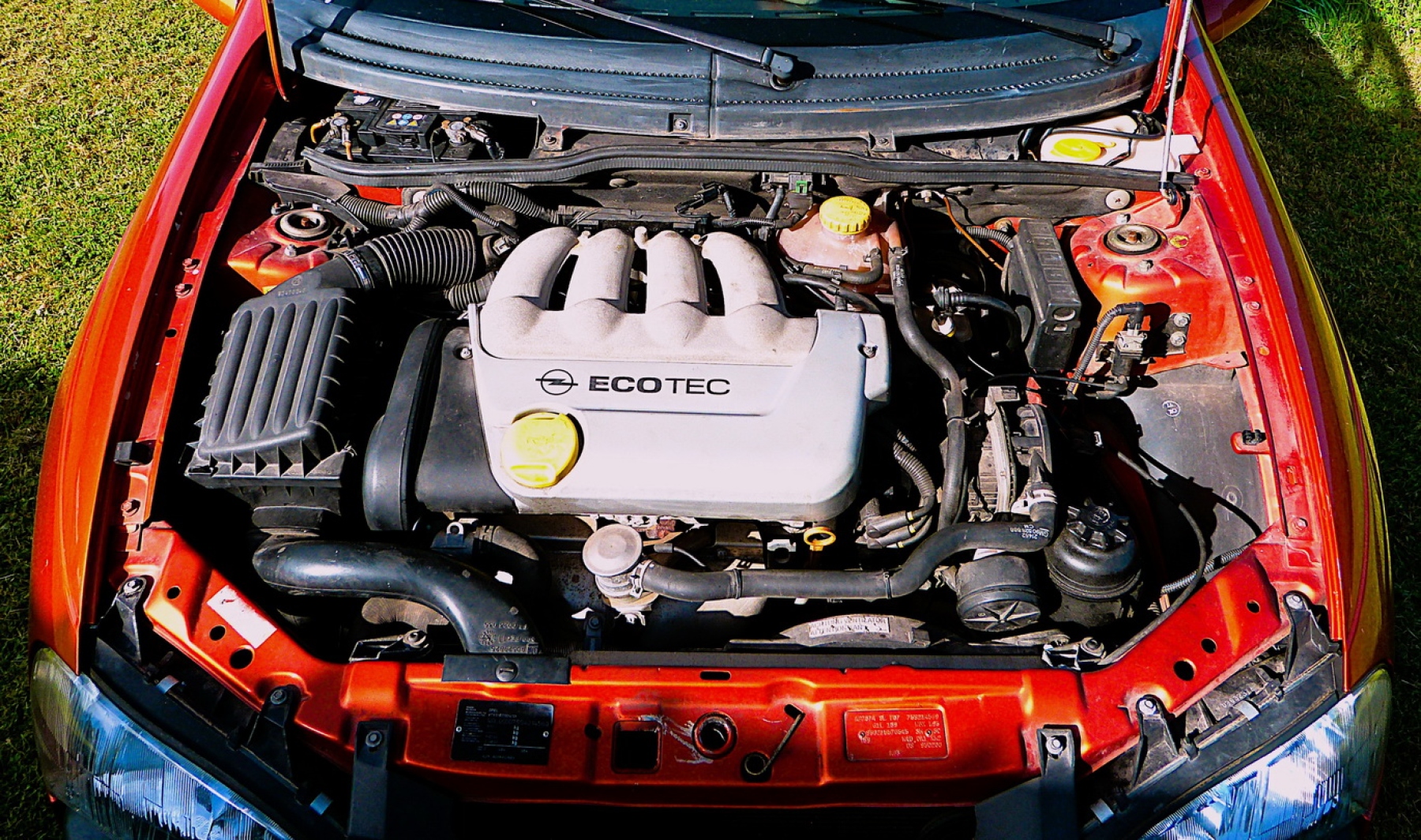 Illustration - Opel Tigra