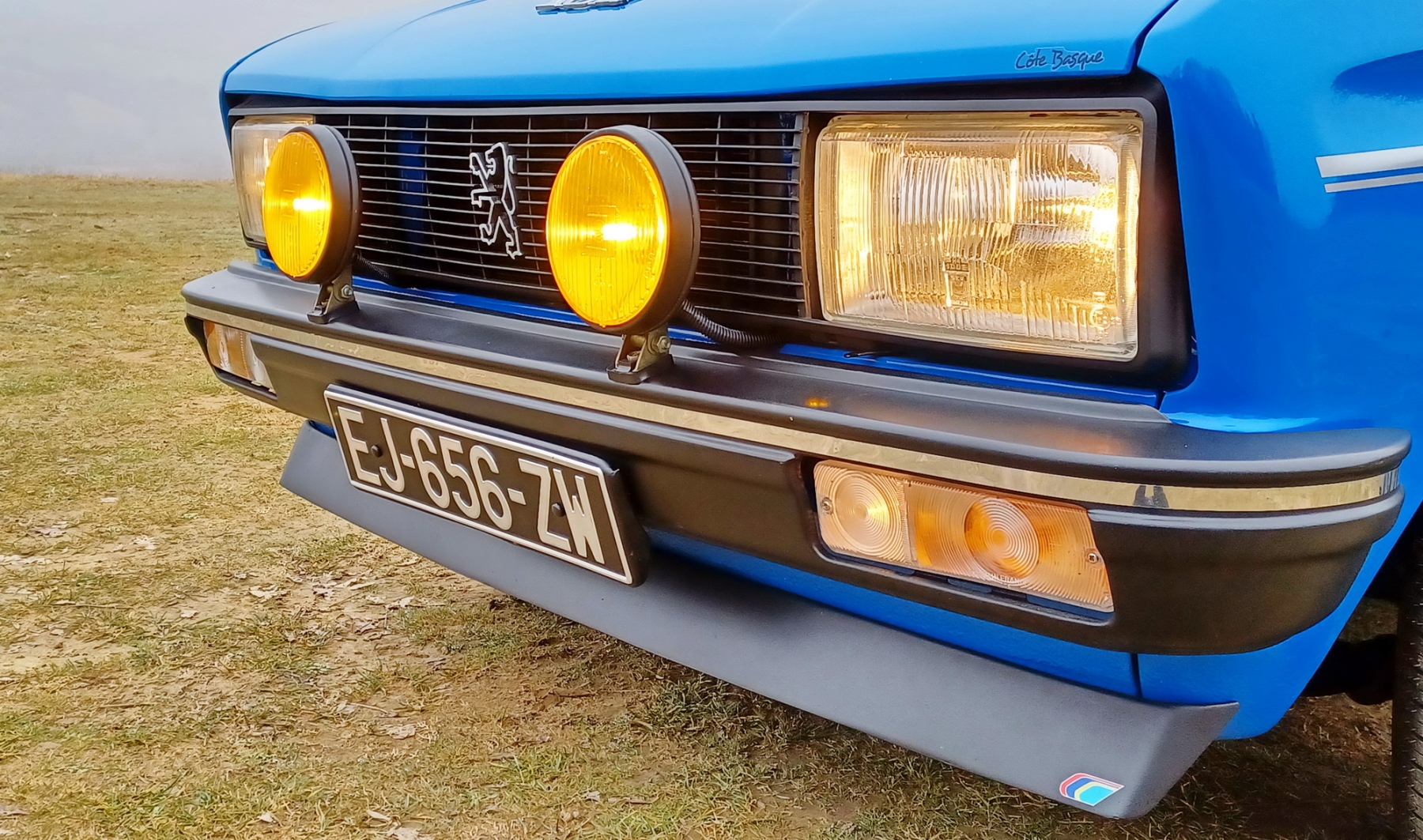 Illustration - Peugeot 104 ZS