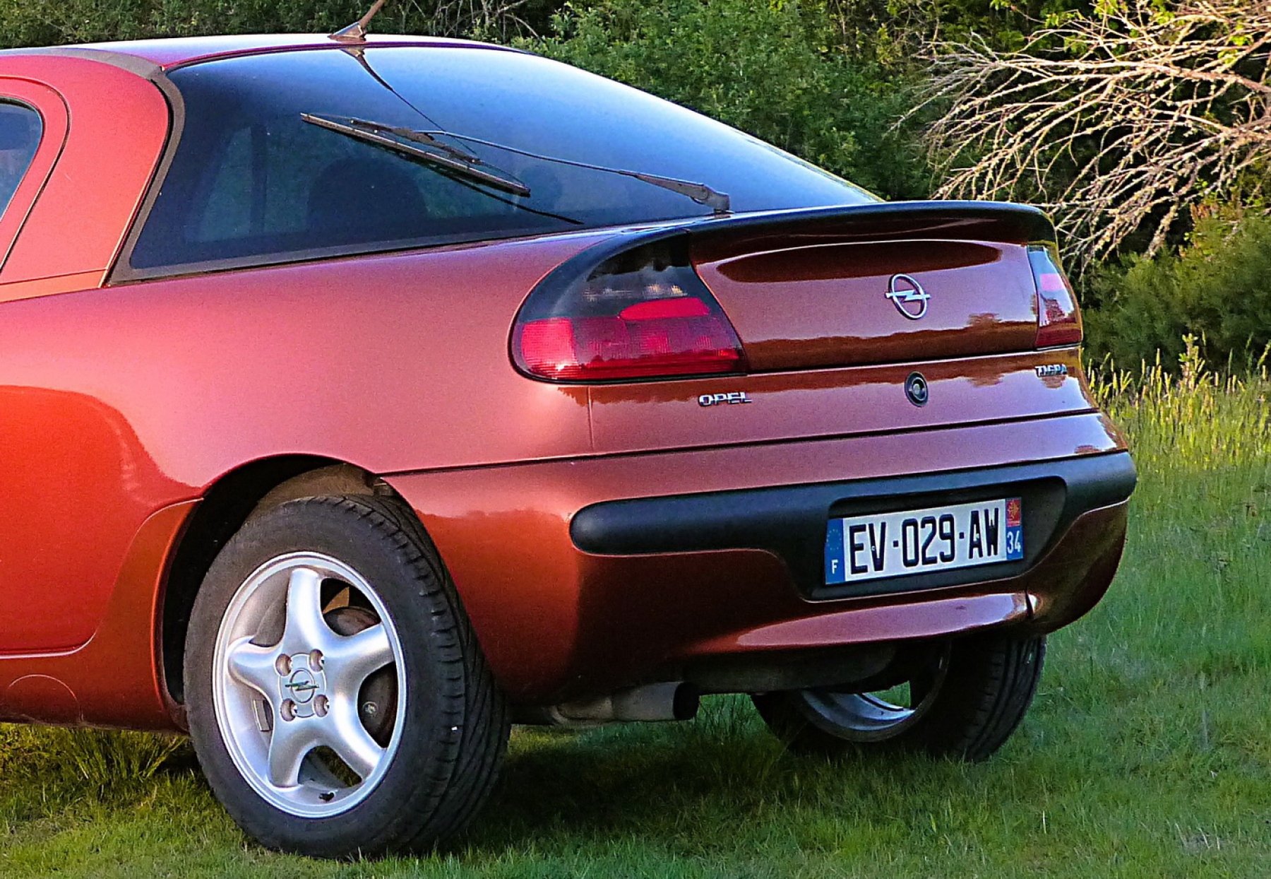 Illustration - Opel Tigra