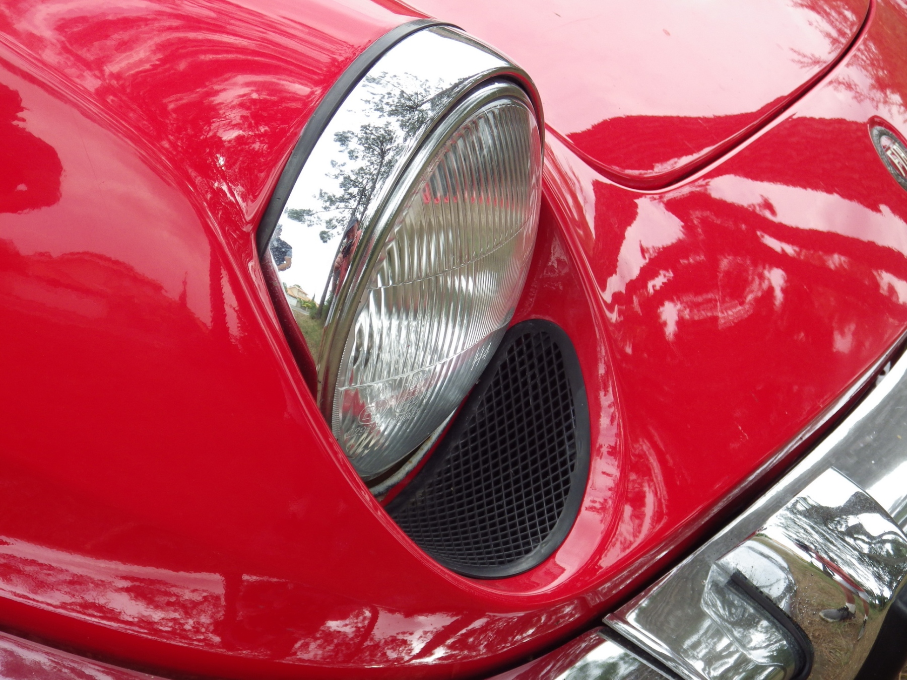 Illustration - Fiat Panda