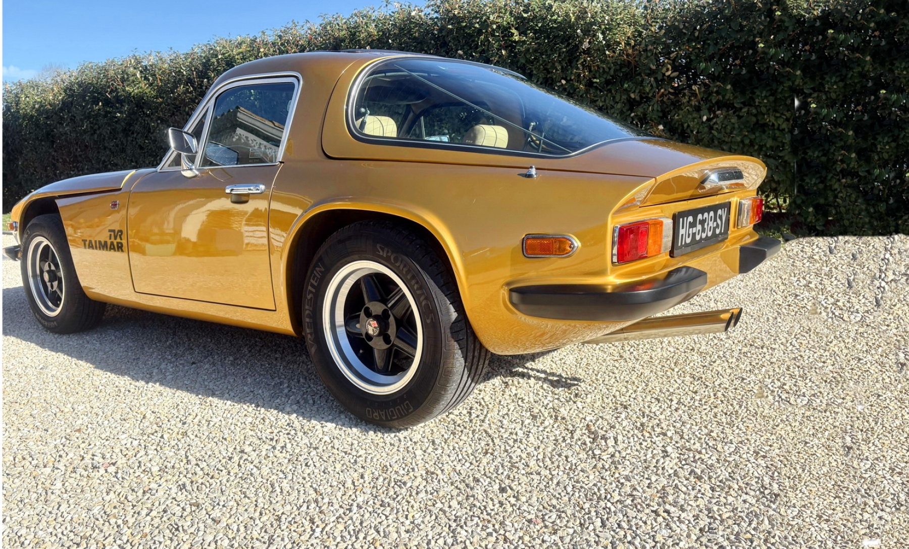 Illustration - TVR 3000 Taimar