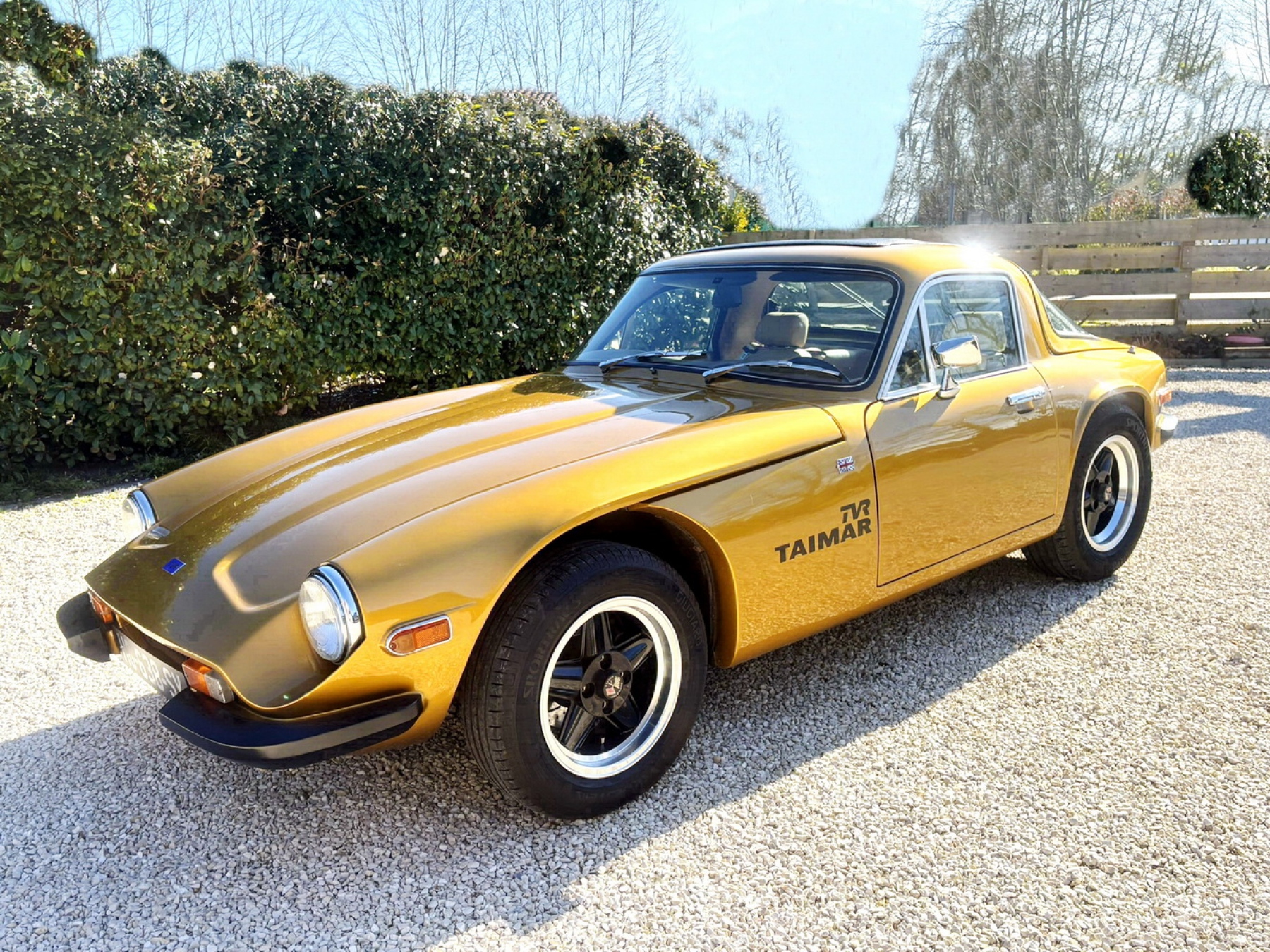 Illustration - TVR 3000 Taimar