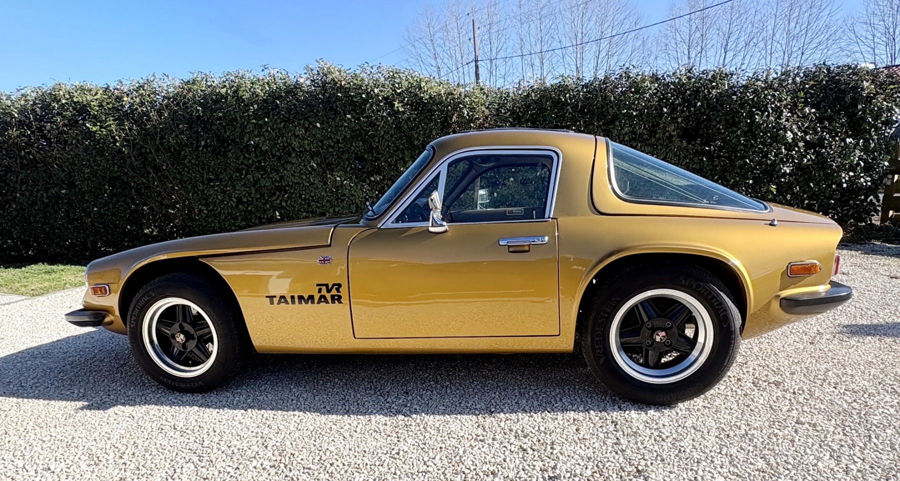 Illustration - TVR 3000 Taimar