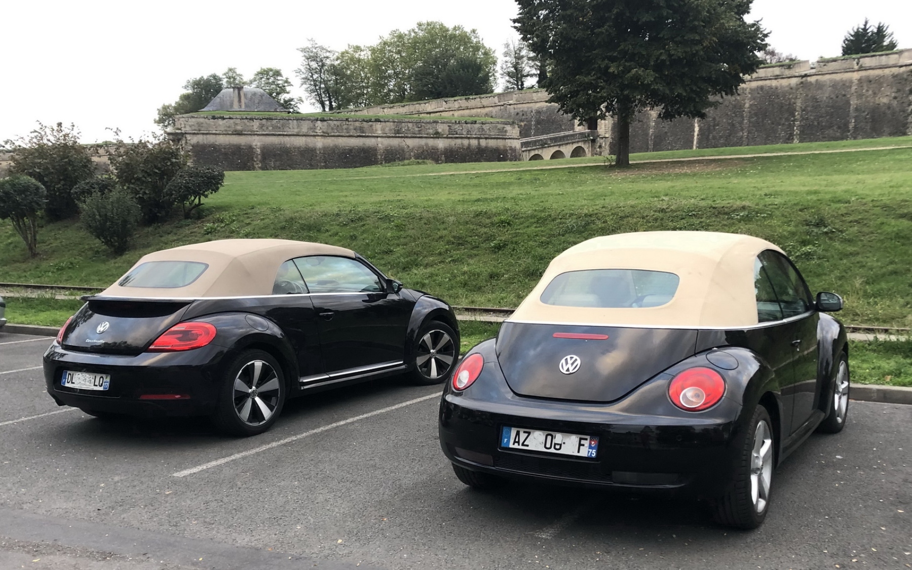 Illustration - Volkswagen New Beetle