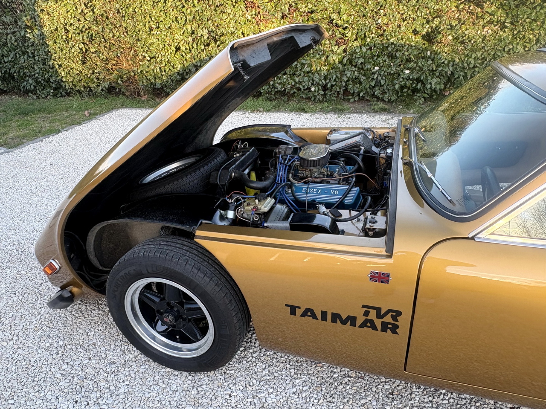 Illustration - TVR 3000 Taimar