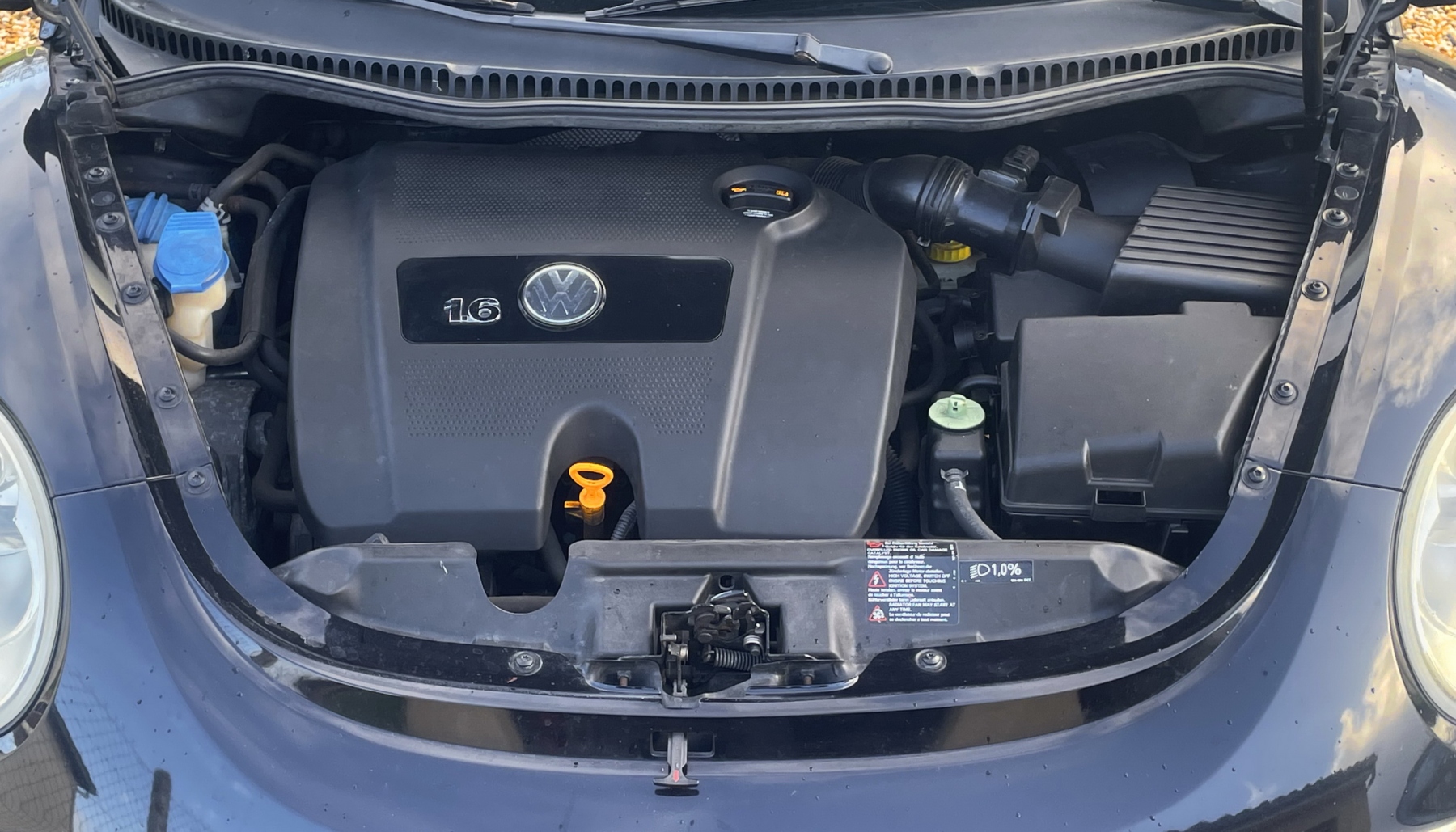 Illustration - Volkswagen New Beetle