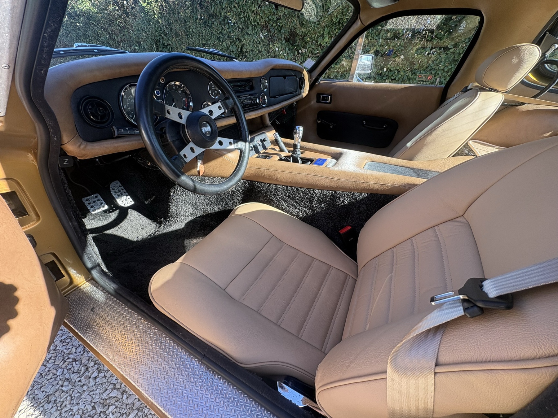 Illustration - TVR 3000 Taimar