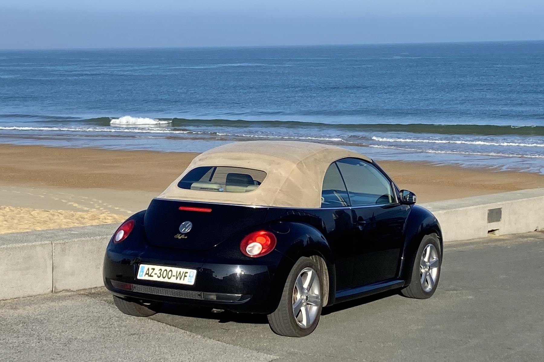 Illustration - Volkswagen New Beetle