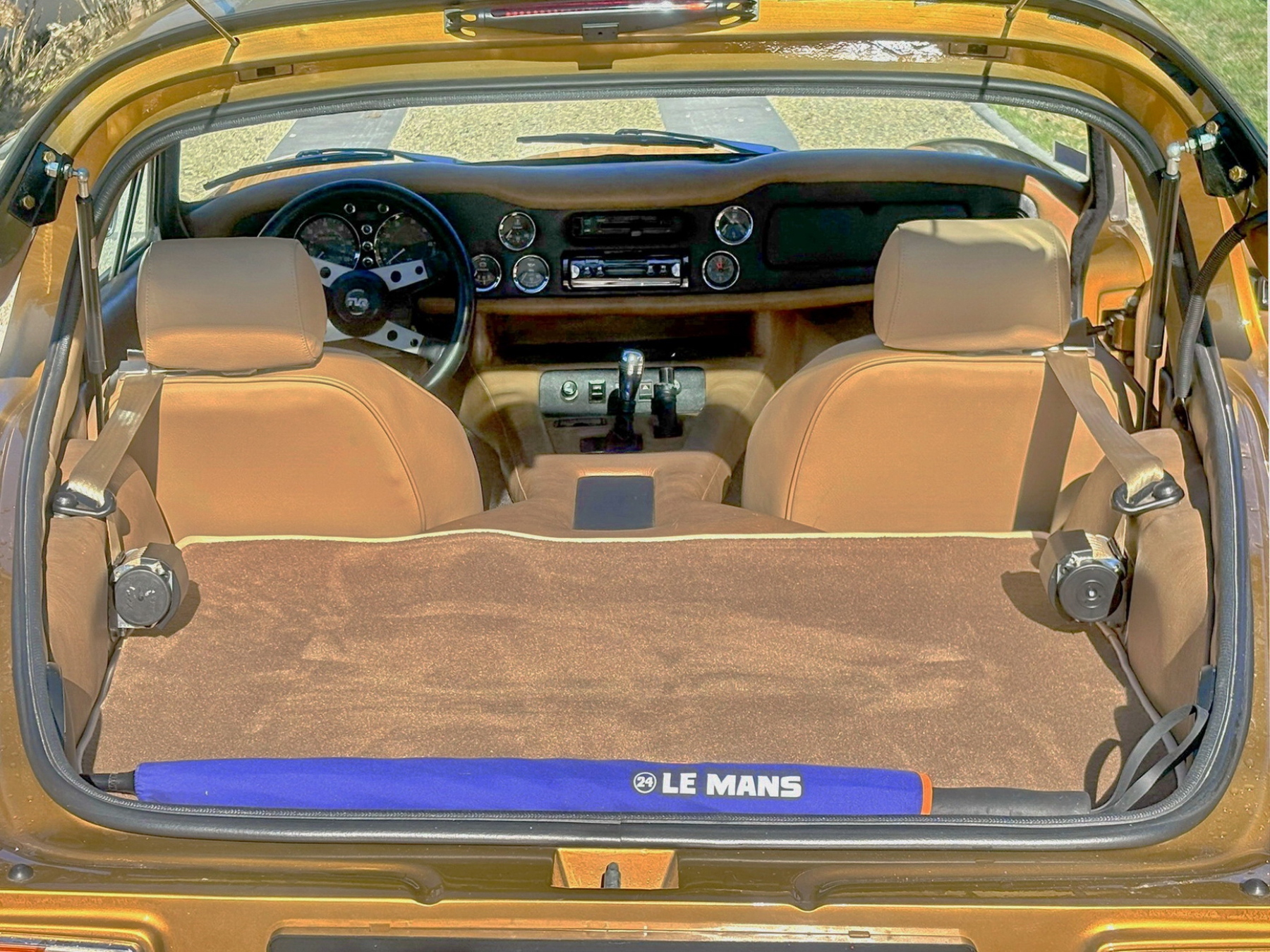 Illustration - TVR 3000 Taimar