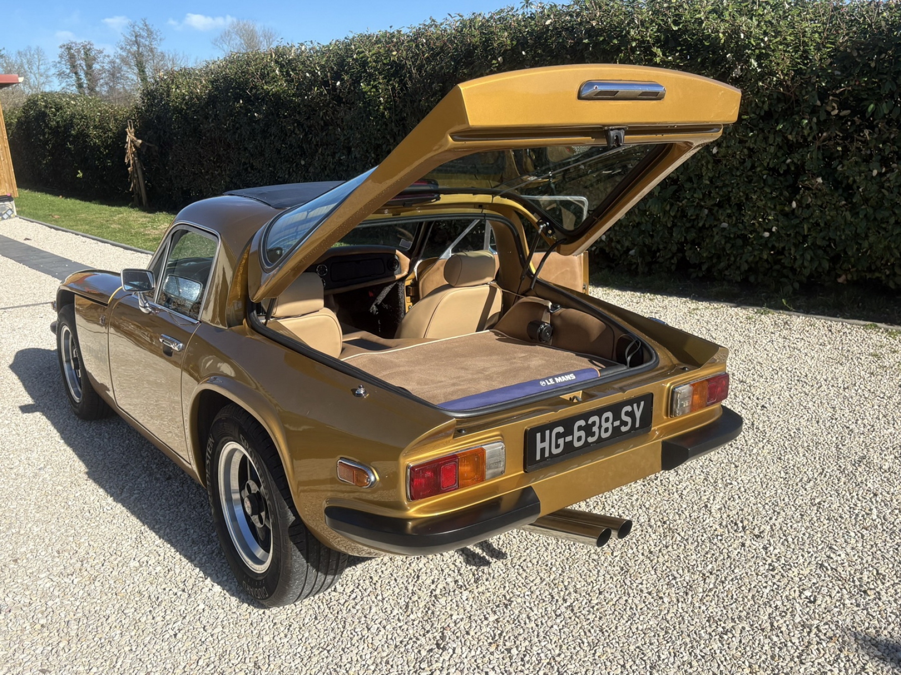 Illustration - TVR 3000 Taimar